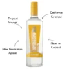 New Amsterdam Mango Vodka - Image 2