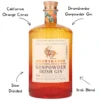 Drumshanbo California Orange Gin - Image 2