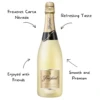 Freixenet Carta Nevada Brut Sparkling Wine - Image 2