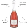 Villa Jolanda Moscato Rose Sparkling Wine - Image 2