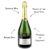 Bohigas Brut Reserva Cava Sparkling Wine - Image 2