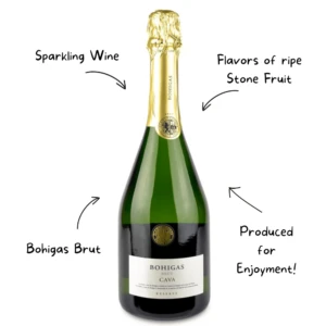 Bohigas Brut Reserva Cava Sparkling Wine