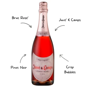 Juve Y Camps Brut Rose Sparkling Wine