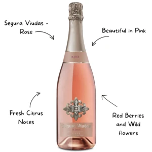 Segura Viudas Brut Rose Sparkling Wine