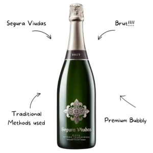 Segura Viudas Brut Reserva Sparkling Wine