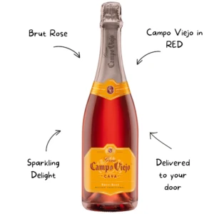 Campo Viejo Cava Brut Rose Sparkling Wine